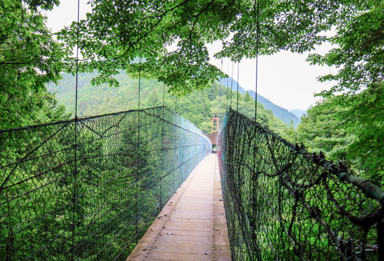 山登り・自然散策